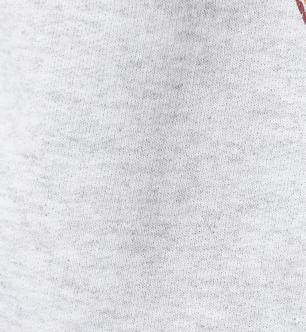 ABAHOUSE「【FRUIT OF THE LOOM】PRINT HOOD8/プリントフーディー」|パーカー|