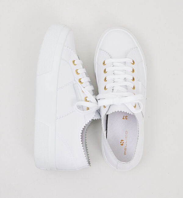 qualite「【PELLICO&times;SUPERGA】コラボスニーカー」|スニーカー|