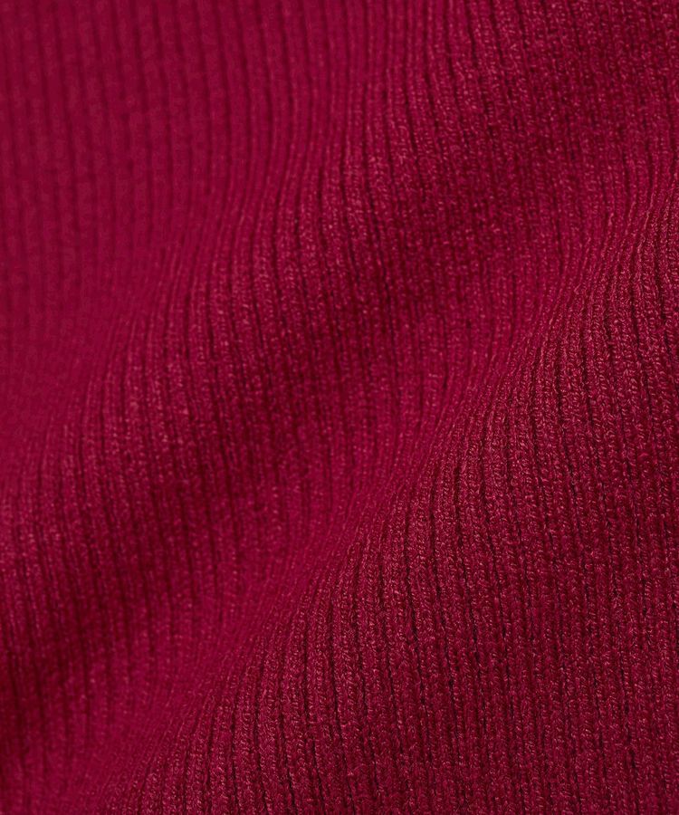 earth music&ecology「レンチング(TM)エコヴェロ(TM)(リブタートル)」|ニット・セーター|