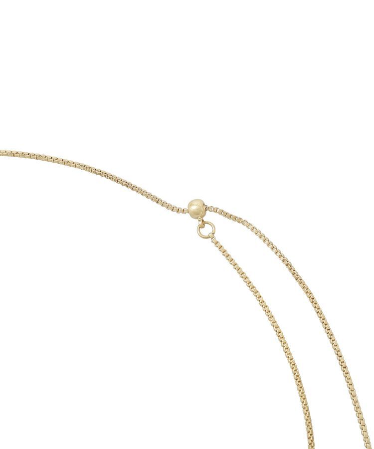 AMERICAN HOLIC「ニュアンスリングスライドネックレス」|ネックレス|