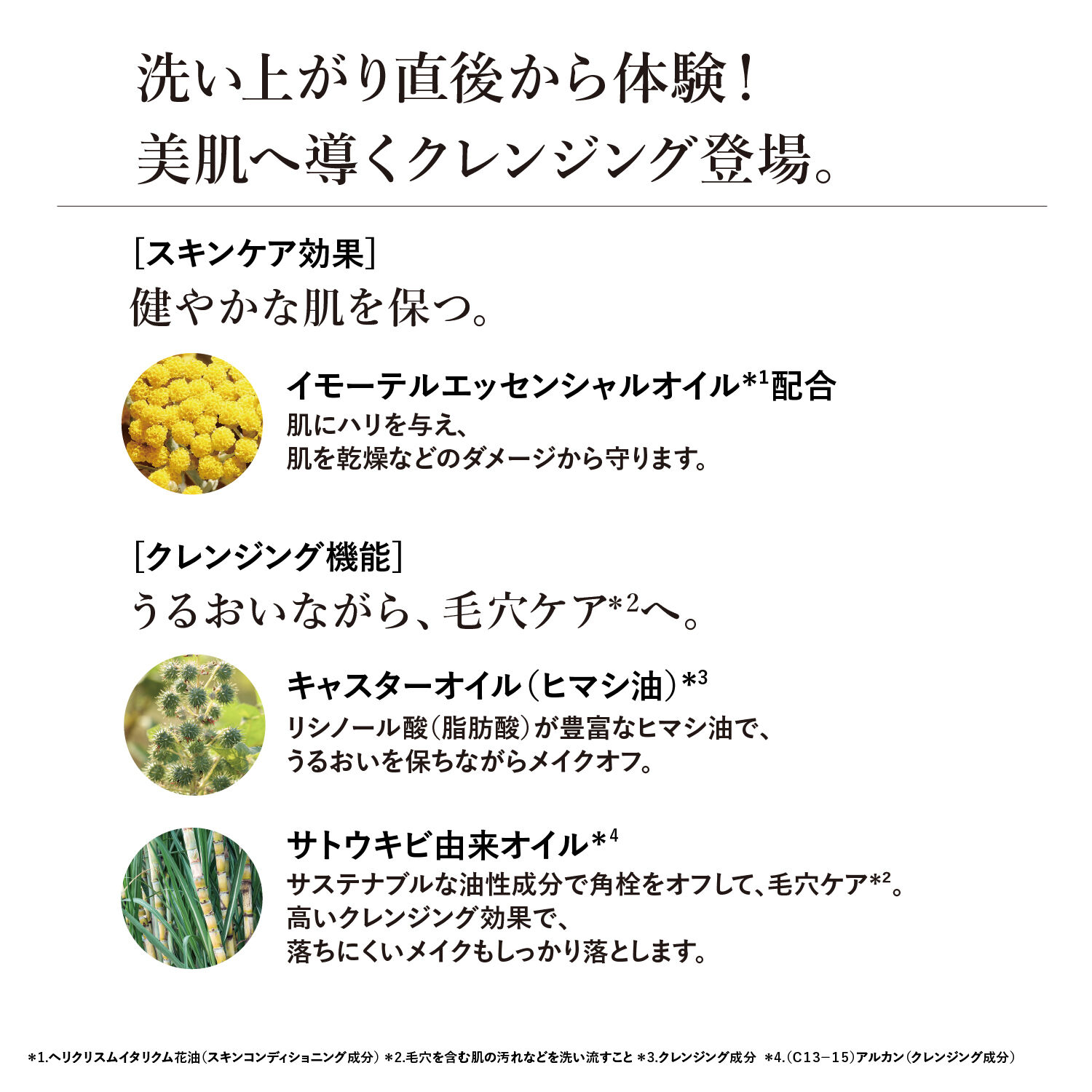 L&rsquo;OCCITANE「イモーテル プレシューズリッチクレンジングオイル」|クレンジング|