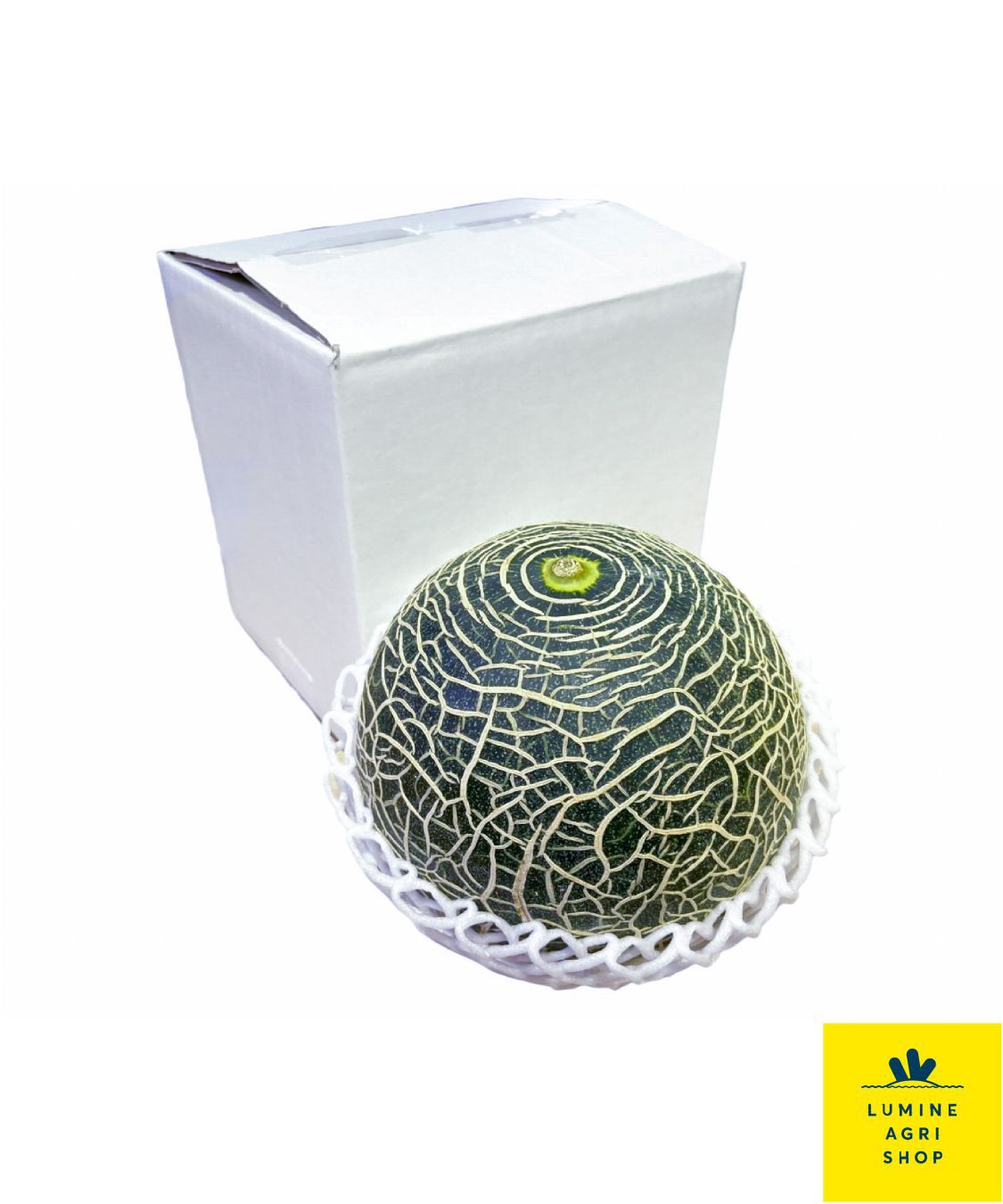 LUMINE AGRI SHOP「《父の日》熊本永松さんの肥後グリーンメロン1玉」|果物・野菜|