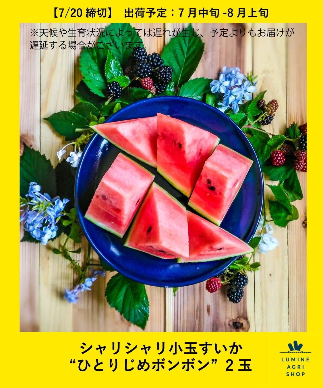 LUMINE AGRI SHOP「シャリシャリ小玉すいか&ldquo;ひとりじめボンボン&rdquo;2玉」|果物・野菜|その他