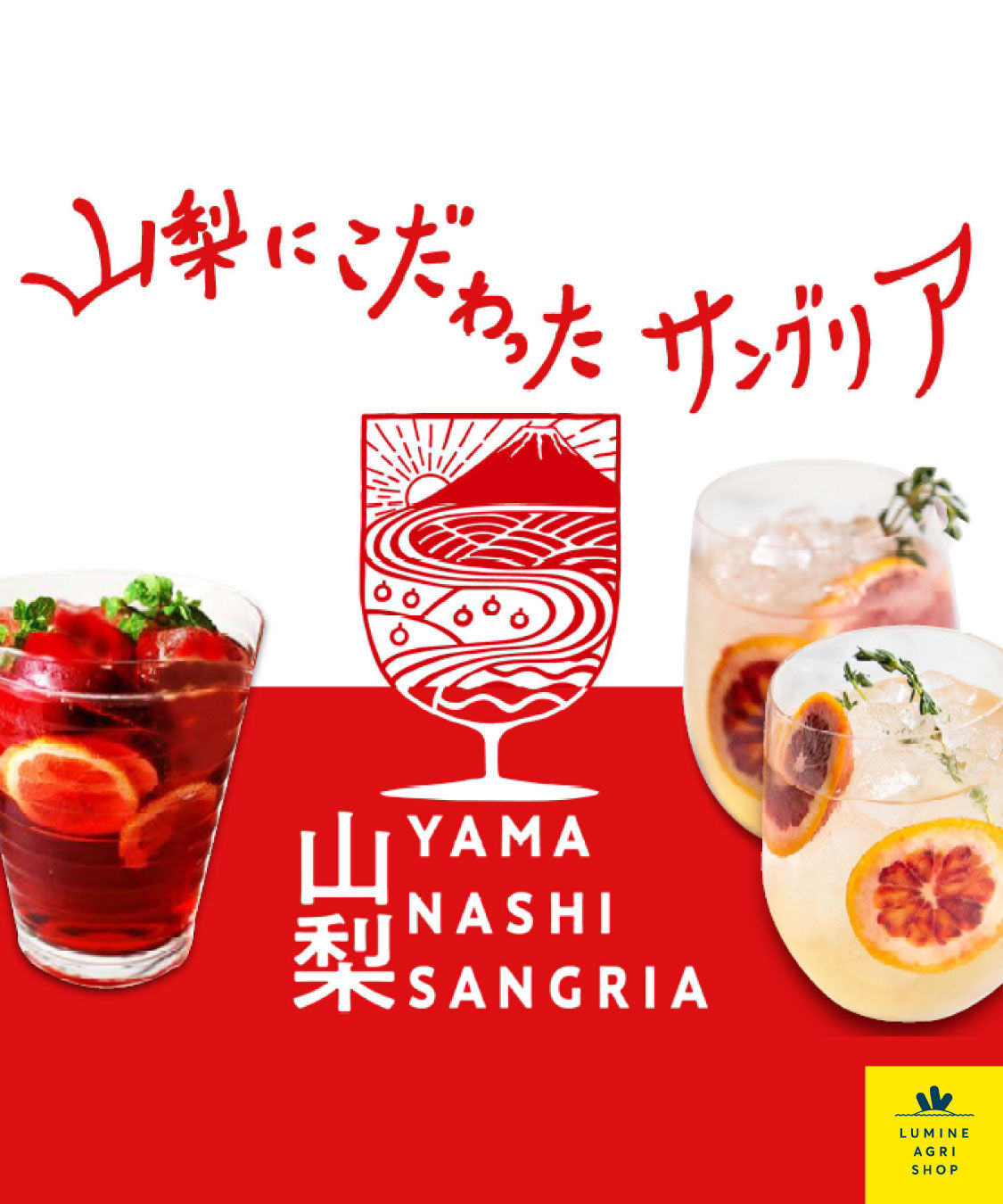 LUMINE AGRI SHOP「山梨サングリア　12本入り」|ワイン|