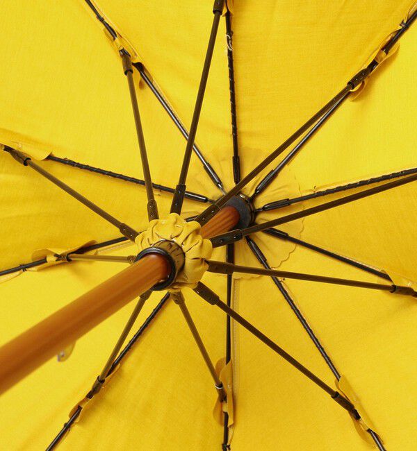 BEAMSBOY「Dicesare Designs / Kabocha傘」|傘|