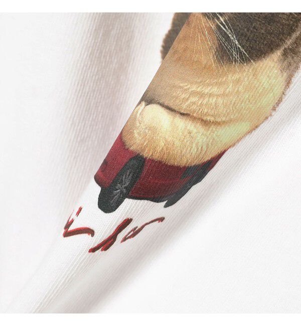 Ray BEAMS 「【別注】CHARI&CO / AMUCHAN AUTO FREE CREW NECK T-SHIRTS」|Tシャツ・カットソー|