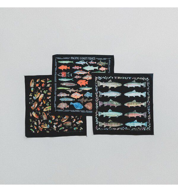 BEAMS「【別注】THE PRINTED IMAGE / BANDANA」|トイレタリー・ランドリーグッズ|