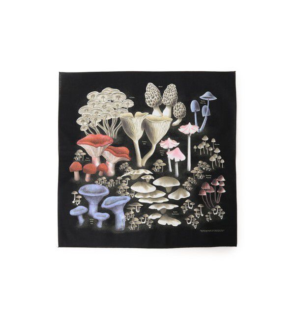 BEAMS「【別注】THE PRINTED IMAGE / BANDANA」|トイレタリー・ランドリーグッズ|MUSHROOM