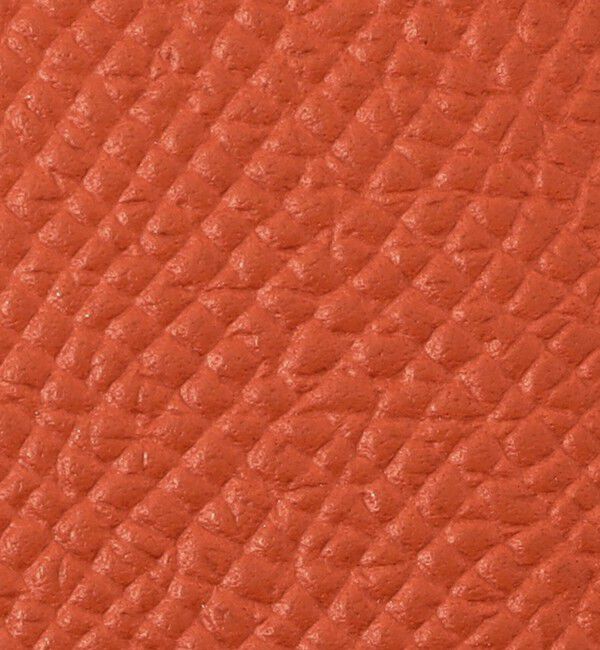 TOMORROWLAND GOODS「【別注】BROOKLYN MUSEUM シュリンクレザー ペンケース」|その他|