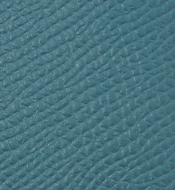 TOMORROWLAND GOODS「【別注】BROOKLYN MUSEUM シュリンクレザー ペンケース」|その他|