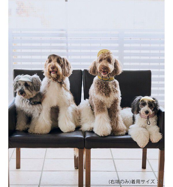 ROPE PICNIC PASSAGE「【DOG】【comif(コミフ)&times;ROPE' PICNIC】シャイニーキャップ/リンクコーデ」|その他|