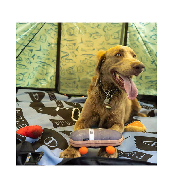 ABAHOUSE「【POLeR/ポーラー】 DOG CHEW　CYCLOP　犬　ブーブークッション」|フィギュア・ホビー|