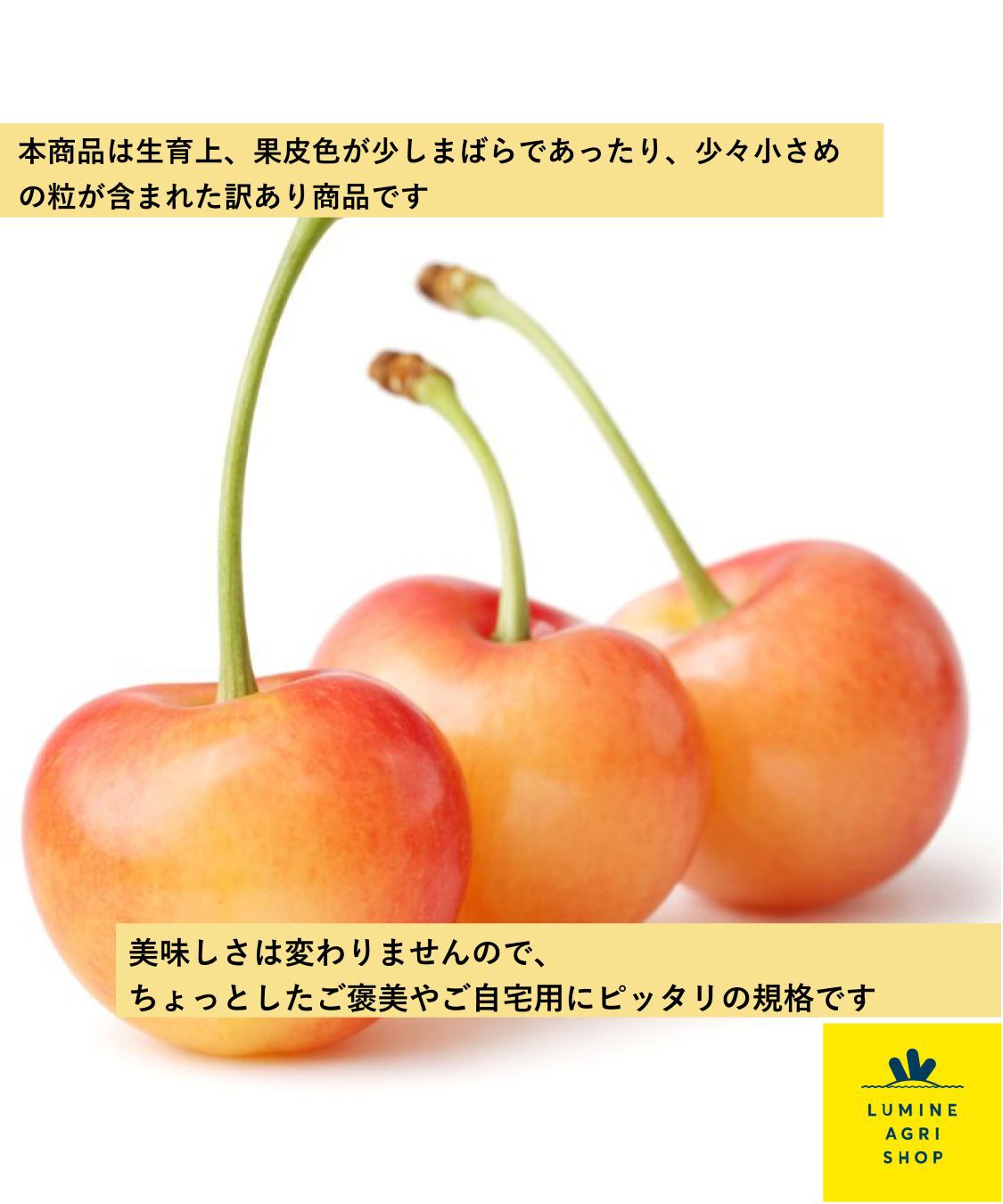 LUMINE AGRI SHOP「【のびのび応援便】はにかみチェリー600g」|果物・野菜|