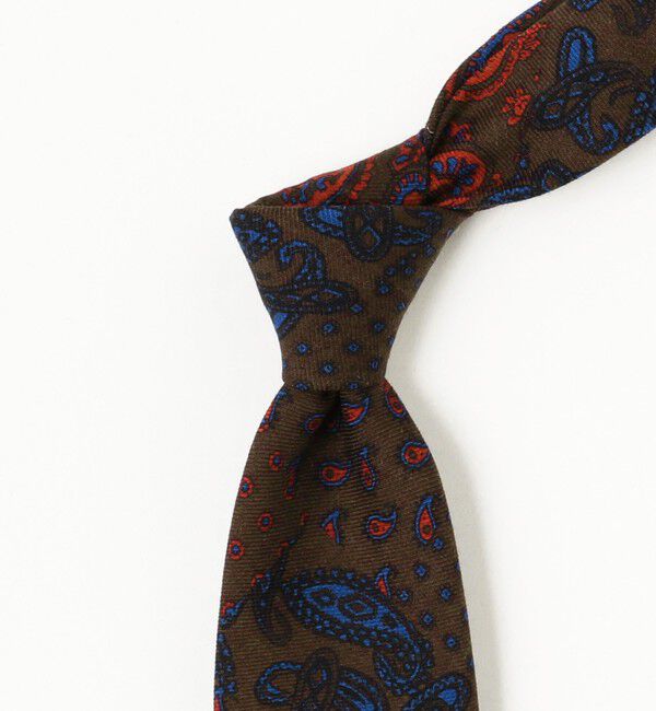 BEAMS PLUS「BEAMS PLUS / ペイズリープリント ウール シルク タイ」|ネクタイ・蝶ネクタイ|