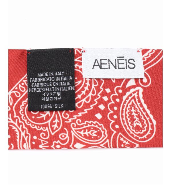 journal standard L'essage「【AENEIS/エネス】Minimal Illusion Silk Twill Bande：スカーフ」|バンダナ・スカーフ|