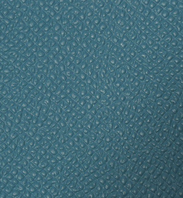 TOMORROWLAND GOODS「【別注】BROOKLYN MUSEUM シュリンクレザー メガネケース」|その他|