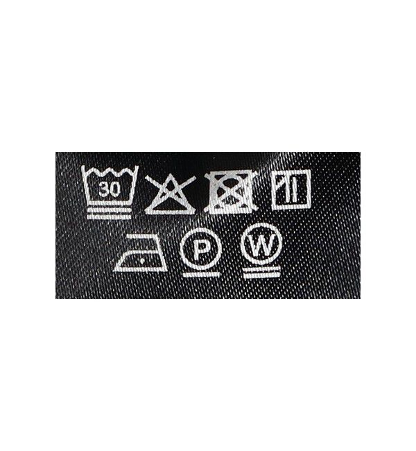 Demi-Luxe BEAMS 「COG THE BIGSMOKE / HIBA バックフレアートップス」|Tシャツ・カットソー|