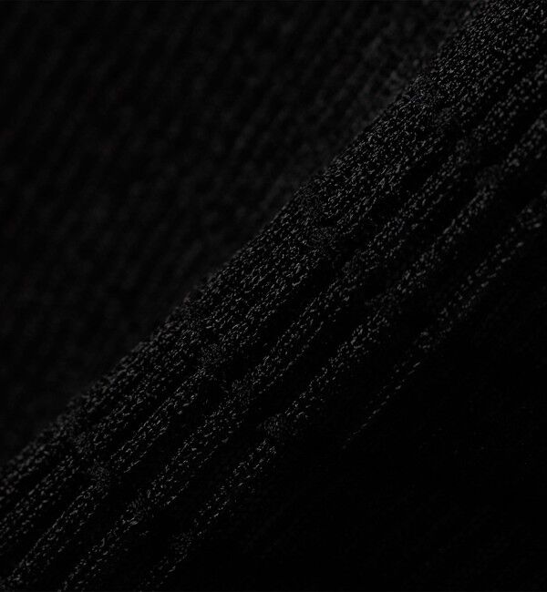 SHIPS for women「《予約》Wai＋:ジャカード シアー スカート」|スカート|