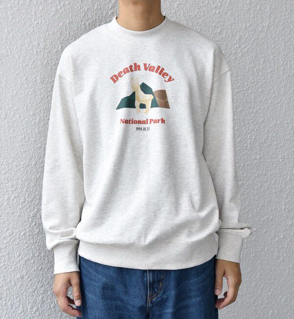 SHIPS any「【WEB限定】SHIPS any: NATIONAL PARK プリント スウェット 25AW(ユニセックス)◇」|スウェット・ジャージ|