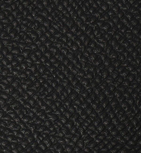 TOMORROWLAND GOODS「【別注】BROOKLYN MUSEUM シュリンクレザー フラグメントケース」|財布|