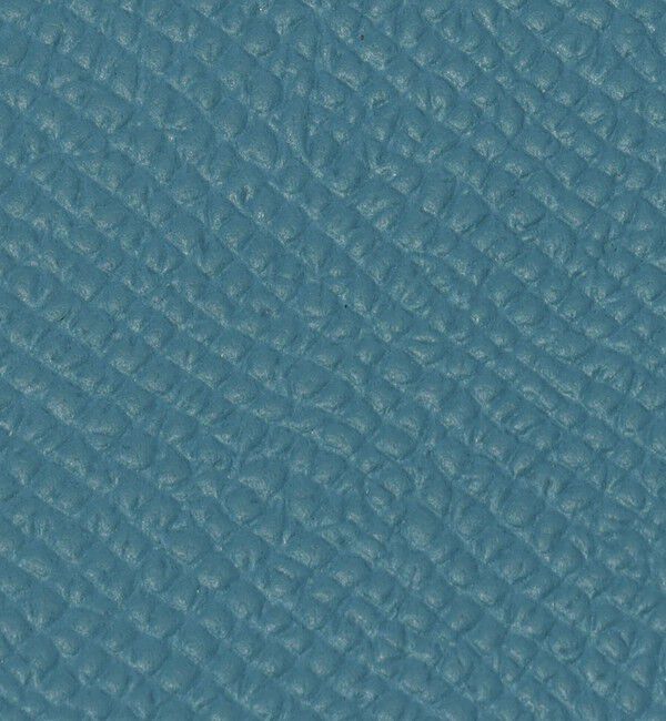 TOMORROWLAND GOODS「【別注】BROOKLYN MUSEUM シュリンクレザー フラグメントケース」|財布|