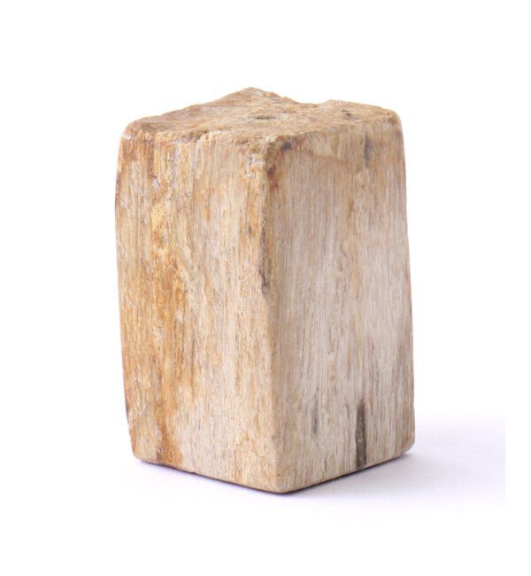 journal standard Furniture「PETRIFIED WOOD INCENSE STAND　ウッド　インセンススタンド」|ステーショナリー|