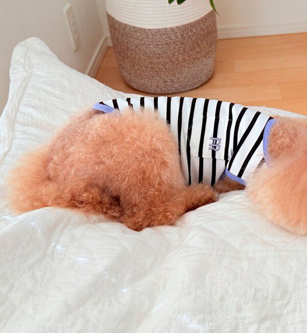 fredy emue「【FR PETS】FR刺繍ボーダーノースリーブTee」|Tシャツ・カットソー|ホワイト系その他