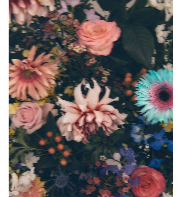 VIS「【DILIGENCE PARLOUR】VIS別注モデルフラワーロゴスウェット【セットアップ対応】」|スウェット・ジャージ|