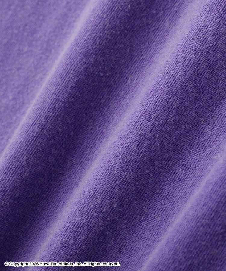 GARAGE OF GOOD CLOTHING「【GOOD ROCK SPEED】Hawaiian Airlines T」|Tシャツ・カットソー|