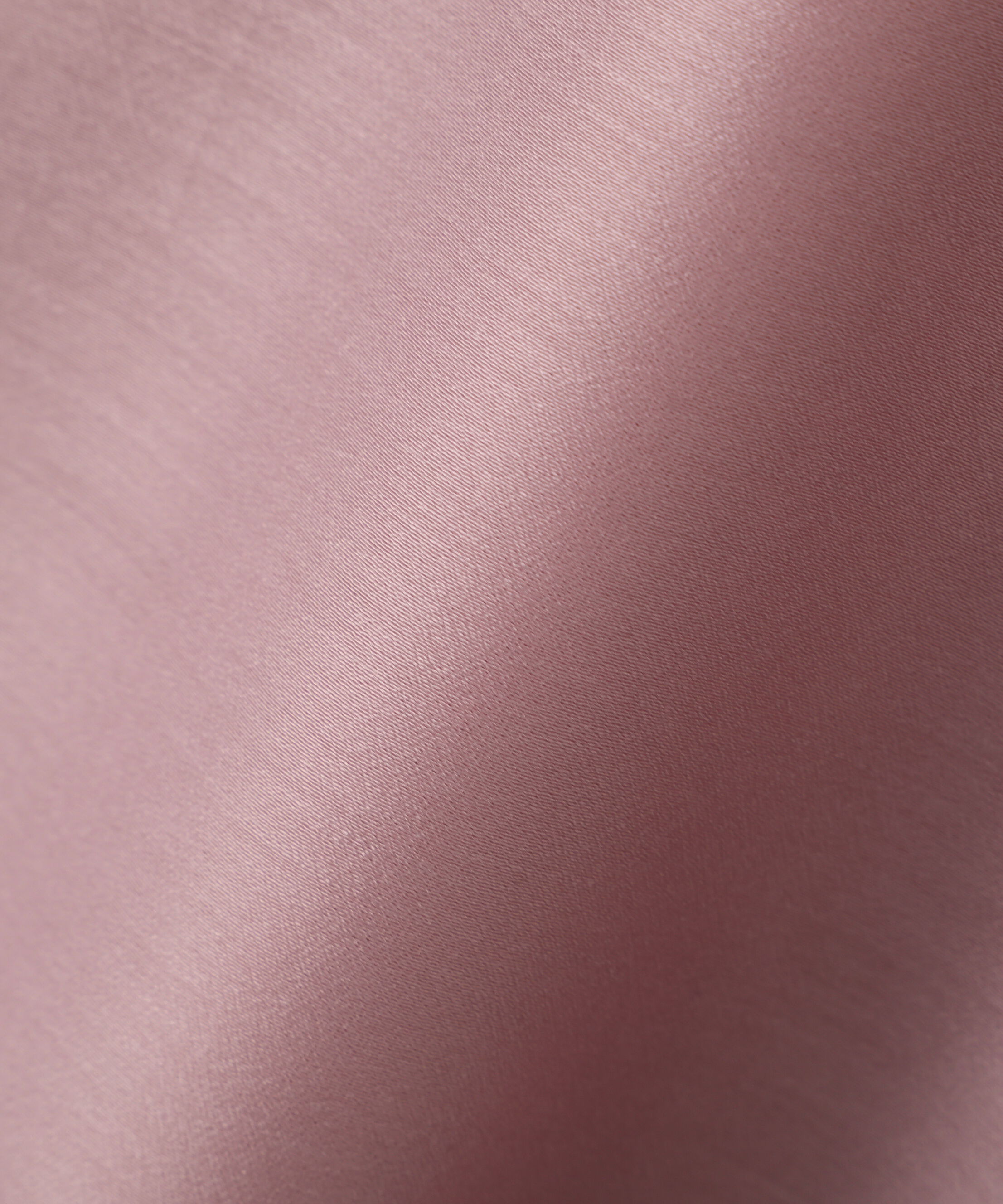 PROPORTION BODY DRESSING「＜ウォッシャブル＞シアーボウタイブラウス 25AW」|シャツ・ブラウス|