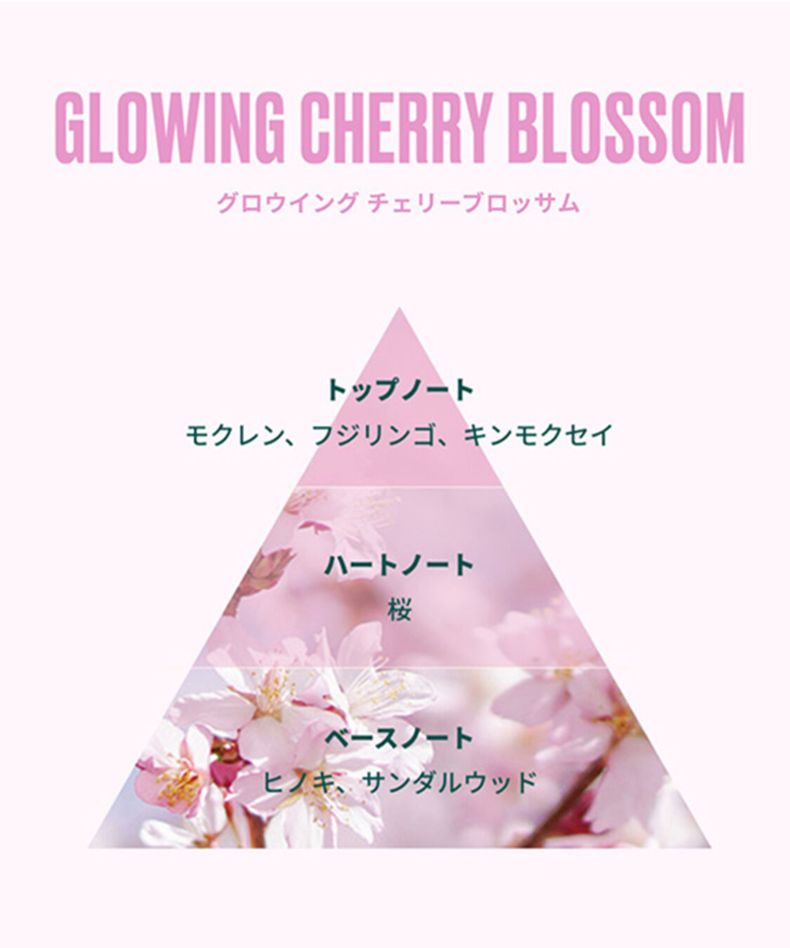 THE BODY SHOP「【数量限定】グロウイング チェリーブロッサム ボディクリーム 200mL」|美容液・オイル・クリーム|