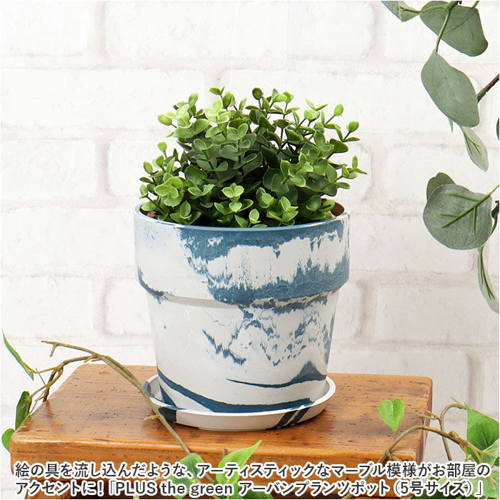 BACKYARD FAMILY「植木鉢 プラスチック おしゃれ 5号 通販 鉢カバー 5号鉢 プランター プランターカバー 植木」|その他|