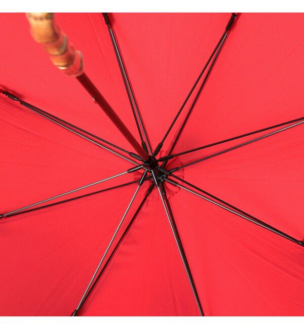 Demi-Luxe BEAMS 「MACKINTOSH / HERIOT ソリッド 長傘」|傘|