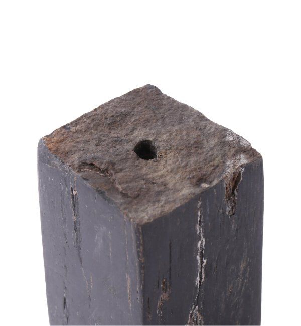 journal standard Furniture「PETRIFIED WOOD INCENSE STAND　ウッド　インセンススタンド」|ステーショナリー|