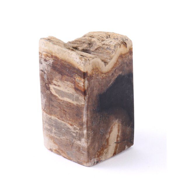 journal standard Furniture「PETRIFIED WOOD INCENSE STAND　ウッド　インセンススタンド」|ステーショナリー|