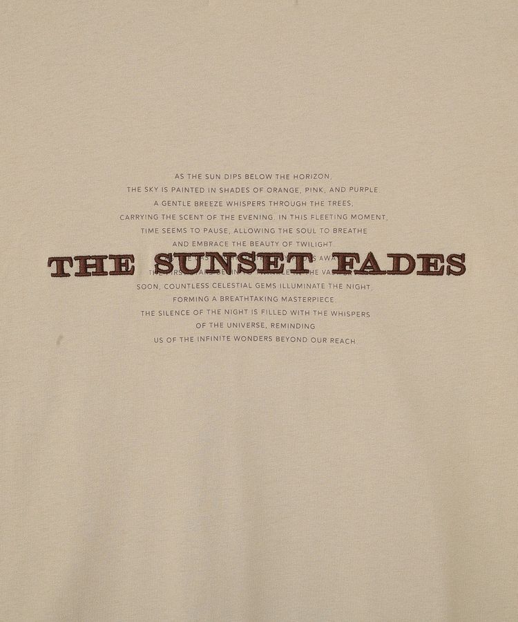 AMERICAN HOLIC「STARLY 刺繍ロゴTシャツ」|Tシャツ・カットソー|