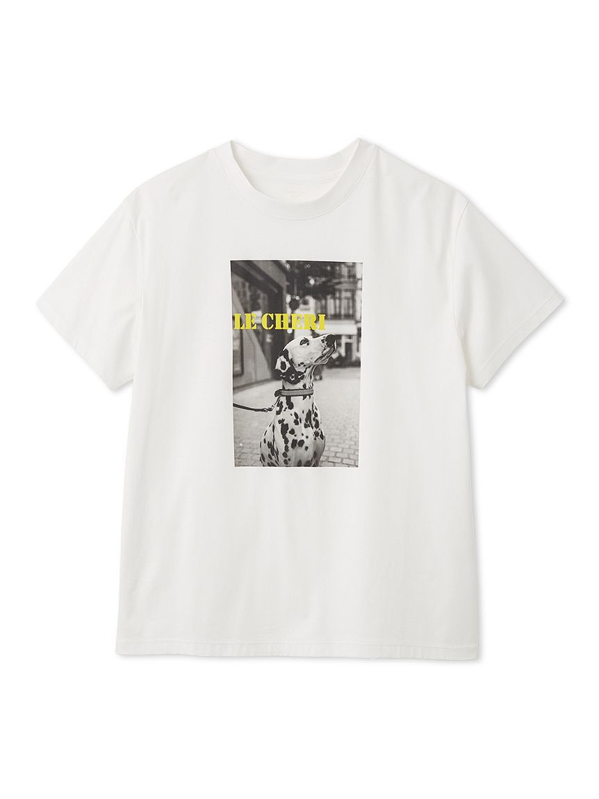 FRAY I.D「オーバーサイズフォトプリントTシャツ」|Tシャツ・カットソー|YEL