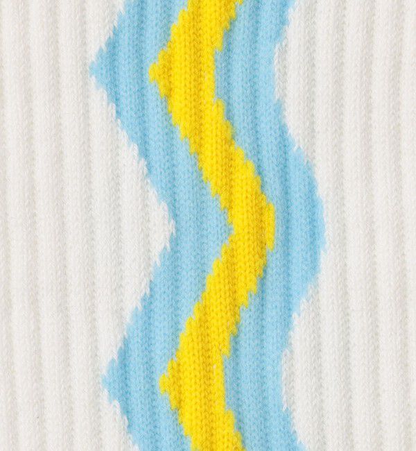  「25AW EXCLUSIVE!!【Tabio/タビオ】ストライプソックス メンズ」|ソックス|