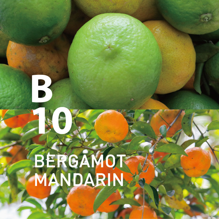 アットアロマ「B10 ベルガモットマンダリン ピエゾアロマオイル 100ml」|アロマ・ルームフレグランス|