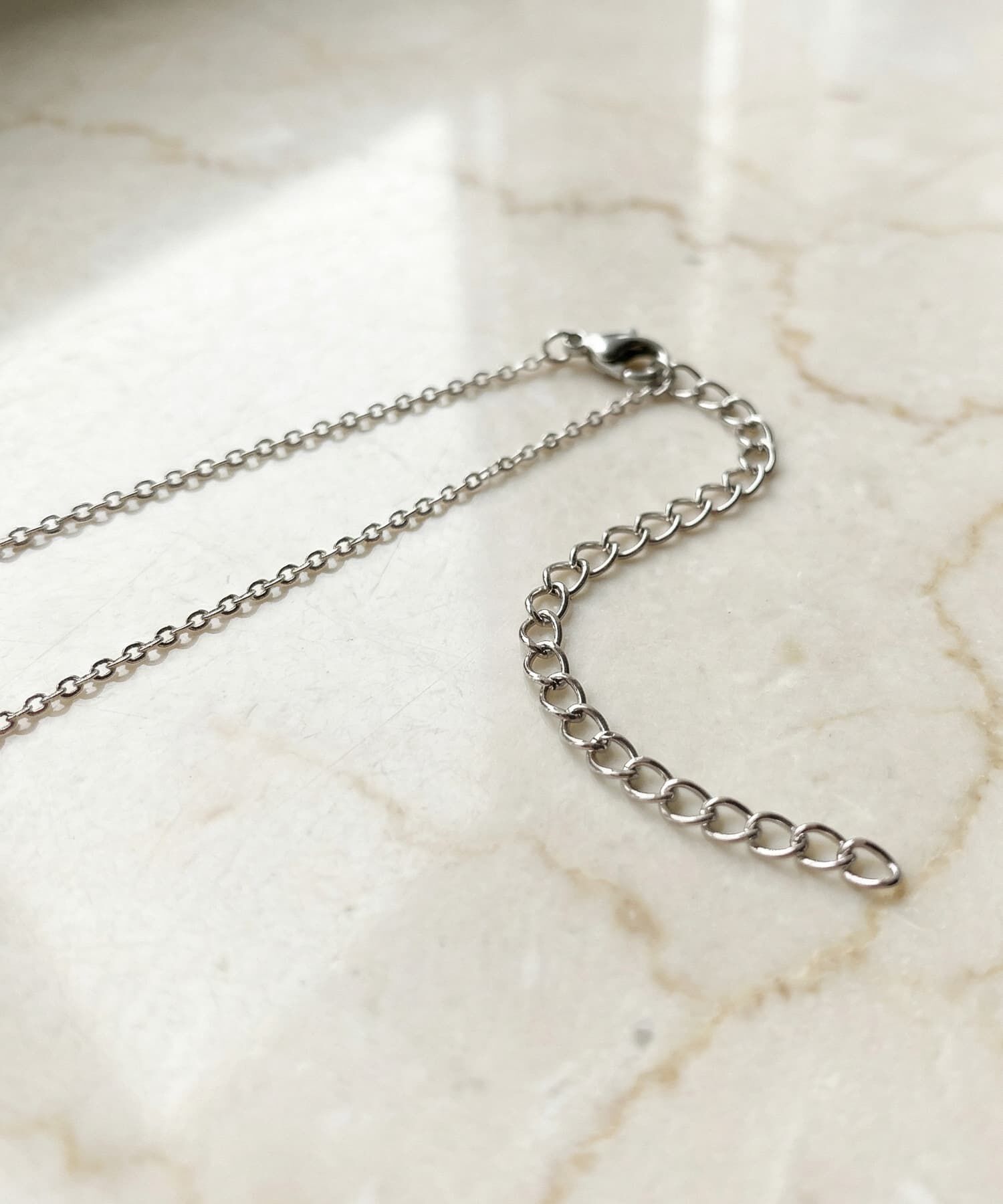 STYLE DELI「【DELI by】イタリアンホーン・ペッパーペンダントネックレス」|ネックレス|