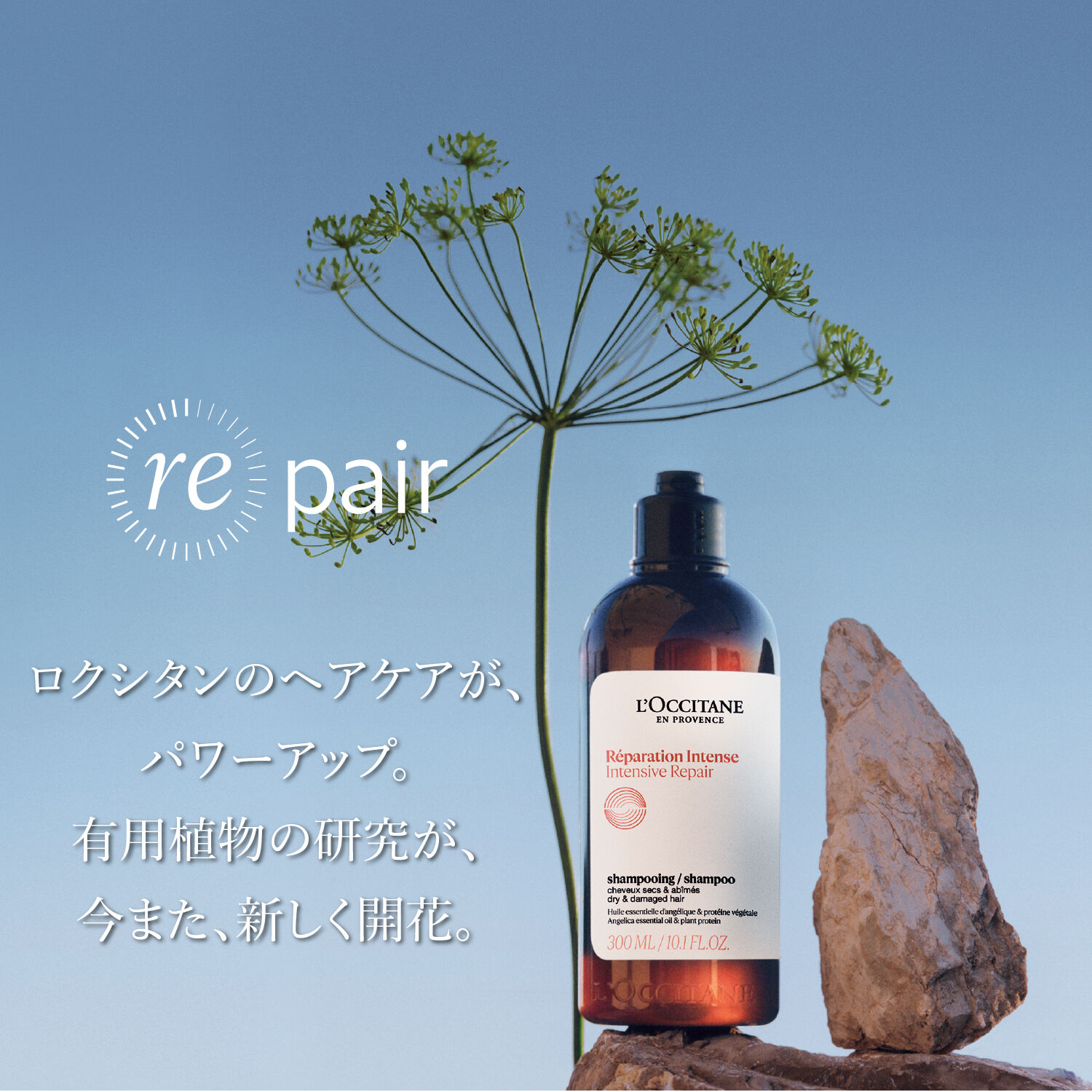 L&rsquo;OCCITANE「インテンシヴリペア シャンプー(レフィル)」|シャンプー|