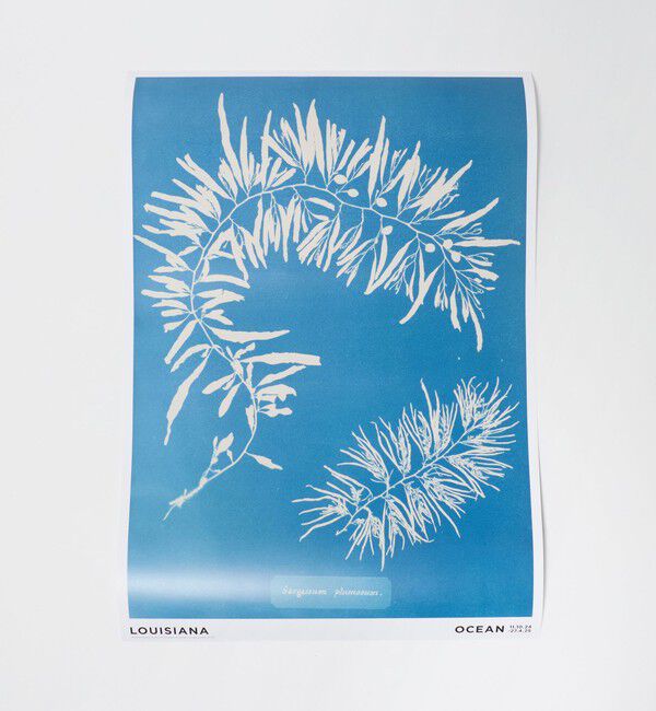 Style for Living「＜LOUISIANA MUSEUM OF MODERN ART＞POSTERS A2」|アート|その他6