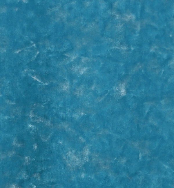 Edition「クラッシュベロアTシャツ」|Tシャツ・カットソー|