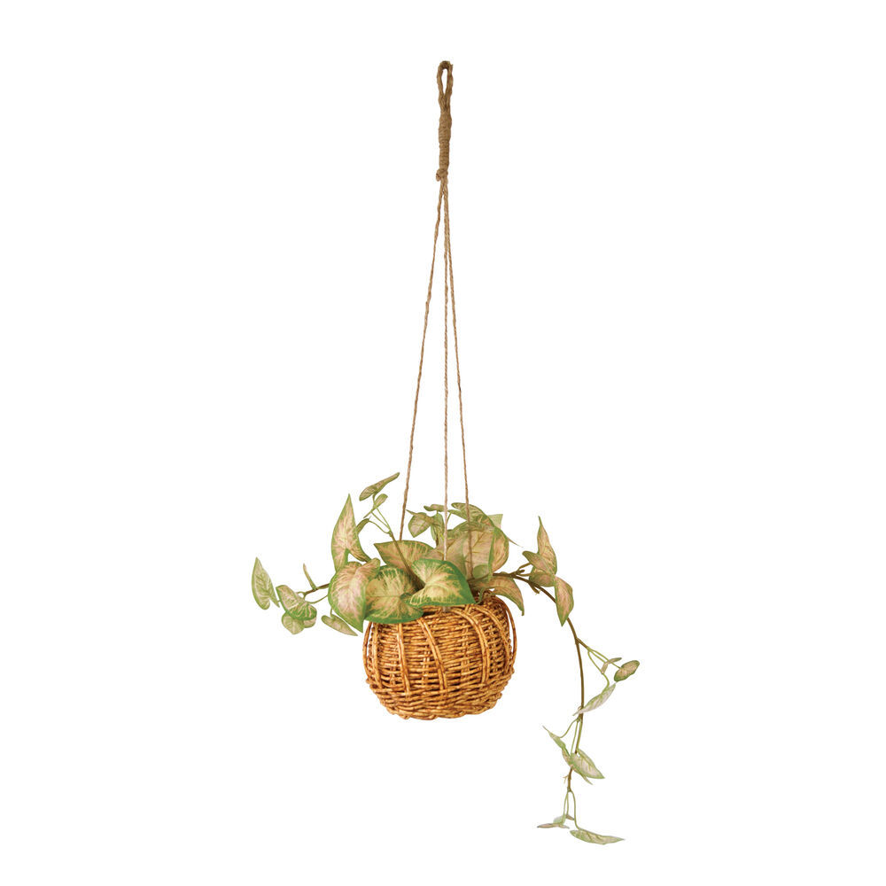 BACKYARD FAMILY「光触媒 フェイクグリーン 通販 観葉植物 人工観葉植物 ハンギング 吊り下げ ハンギングバスケット」|その他|グリーン3