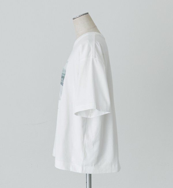  「アソートフォトプリントTシャツ」|Tシャツ・カットソー|