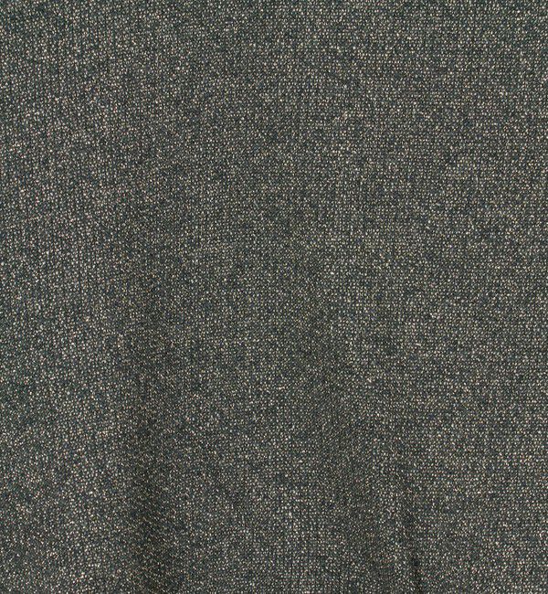 ASTRAET「＜ASTRAET＞ラメ ウラケ フーデッド ノースリーブプルオーバー」|パーカー|