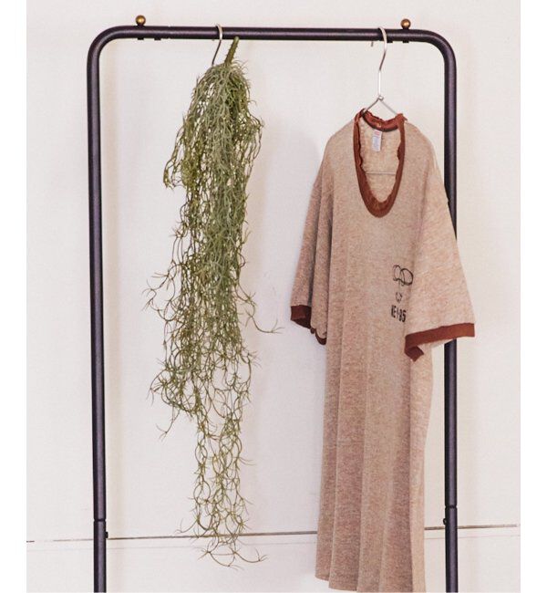 journal standard Furniture「【Brown./ブラウン】スパニッシュモス ハンギングブッシュ シルバー グリーン」|その他|グリーン