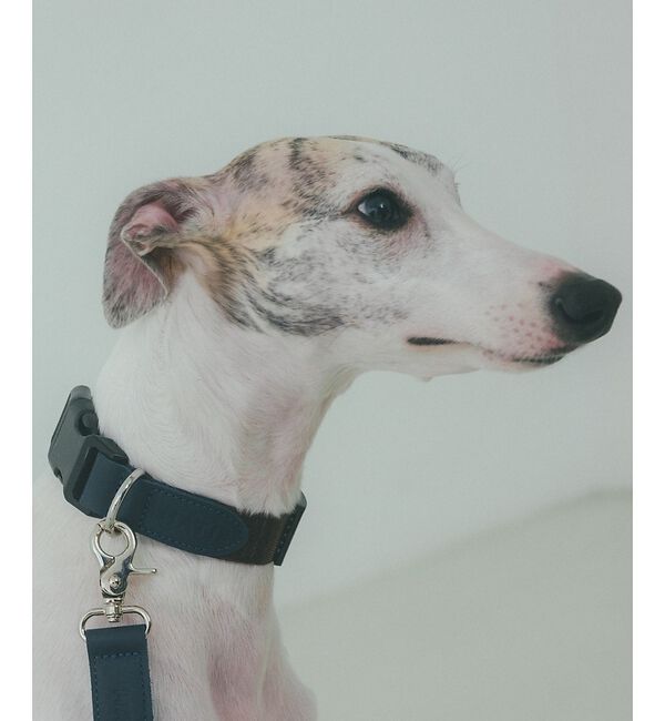 LOWELL things「MATIE/中型犬/首輪【Direction by 有末 麻祐子】」|その他|ブラウン