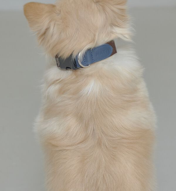 LOWELL things「MATIE/中型犬/首輪【Direction by 有末 麻祐子】」|その他|