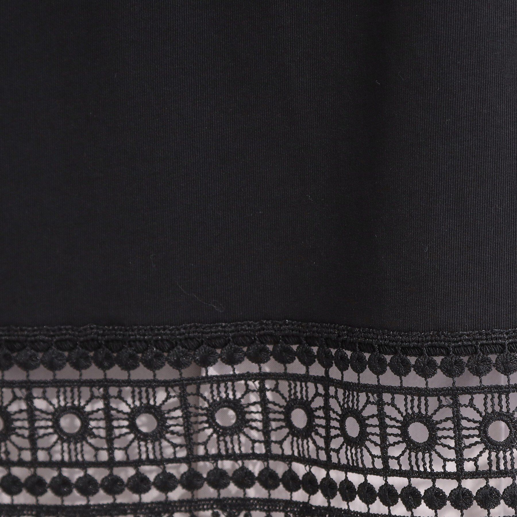 SHOO･LA･RUE「【洗濯機可/ひんやり/S-LL】レース使いがポイント 体型カバーもできる　1枚でサマになるデザインT」|Tシャツ・カットソー|